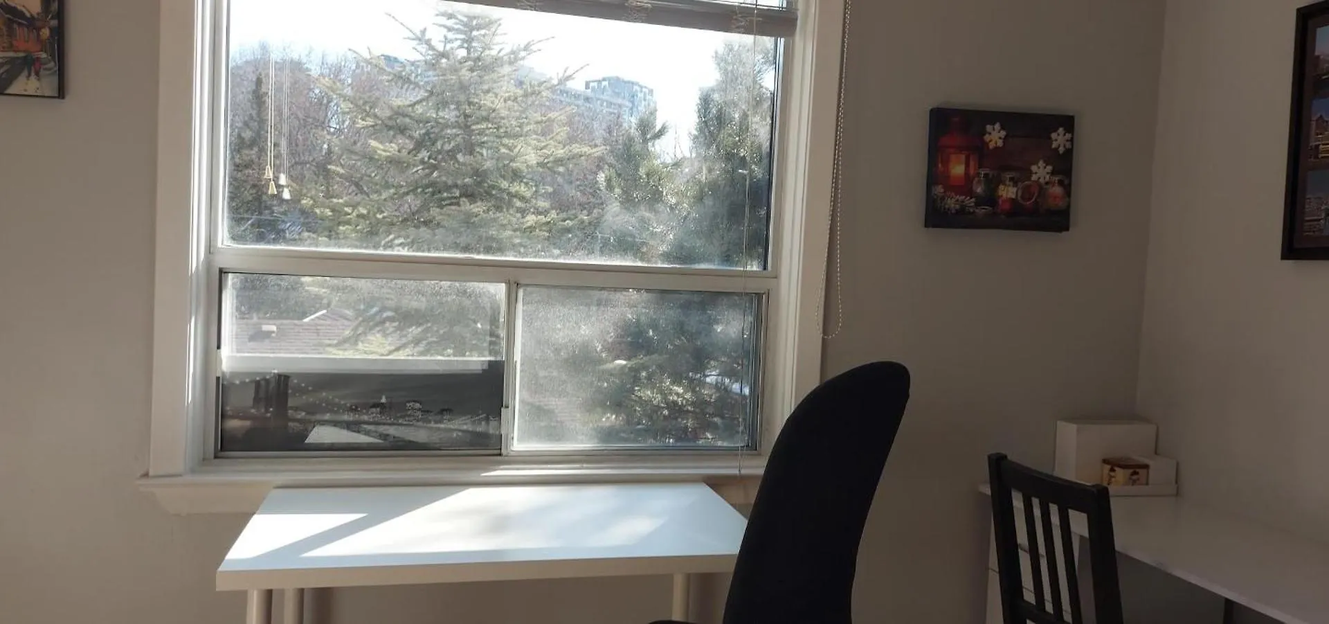 High Park Single Room With Personal Washroom And Kitchen Toronto